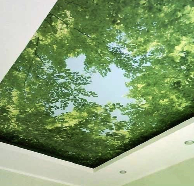 安徽墙体手绘公司