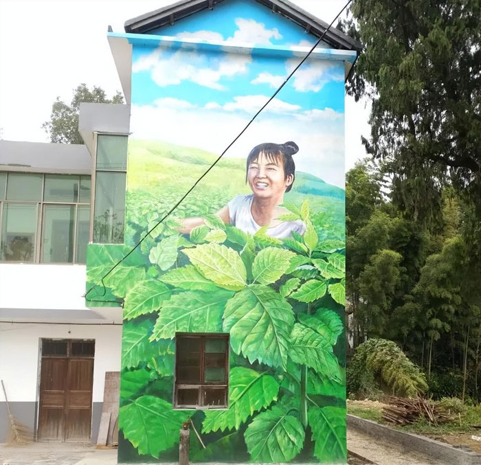 乡村建设彩绘